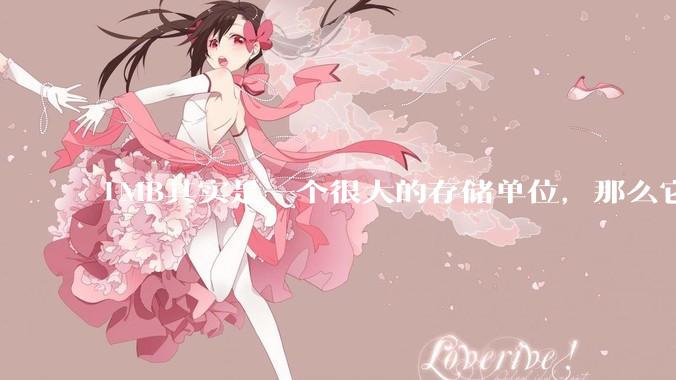 1MB其实是一个很大的存储单位，那么它的存储容量究竟有多大？